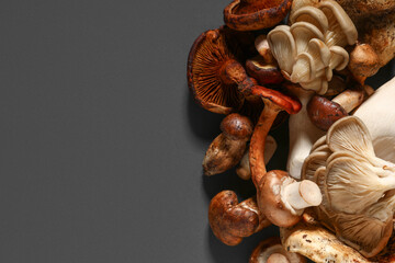 Different fresh mushrooms on grey background