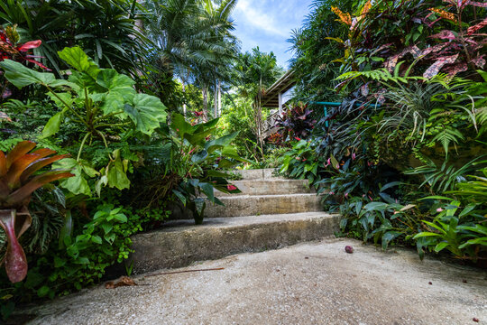 Nature Gardens in Barbados Caribbean
