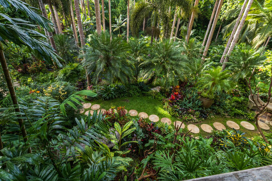 Nature Gardens in Barbados Caribbean

