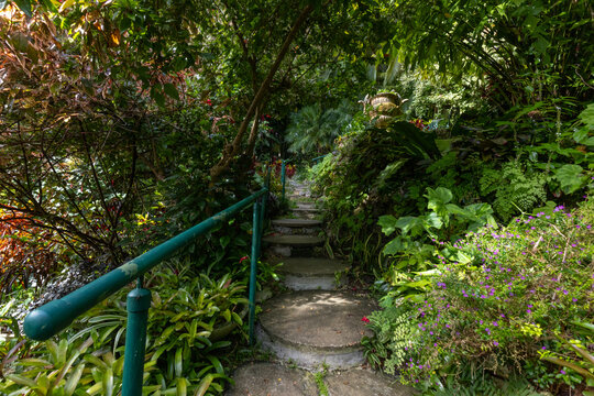 Nature Gardens in Barbados Caribbean
