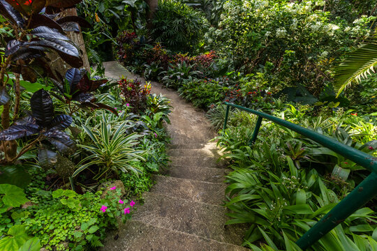 Nature Gardens in Barbados Caribbean
