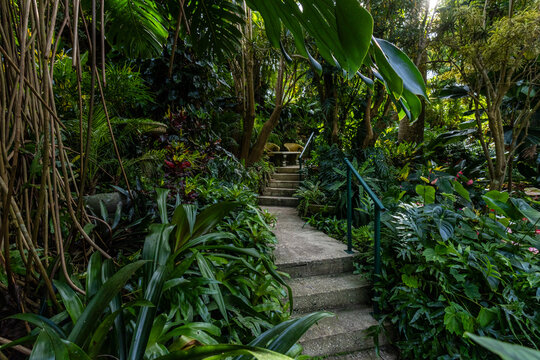 Nature Gardens in Barbados Caribbean
