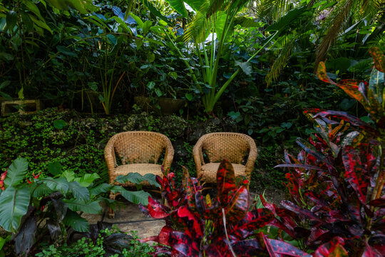 Nature Gardens in Barbados Caribbean
