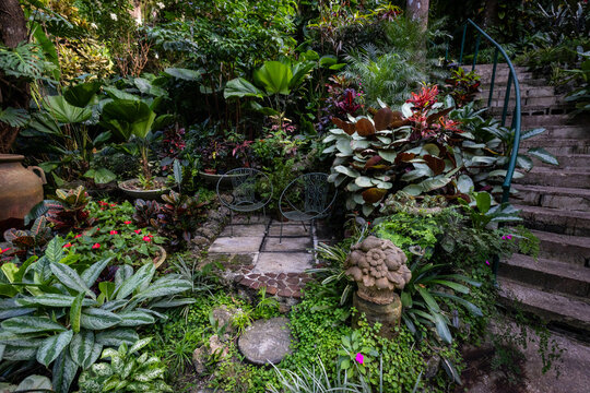 Nature Gardens in Barbados Caribbean
