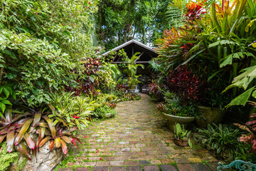 Nature Gardens in Barbados Caribbean
