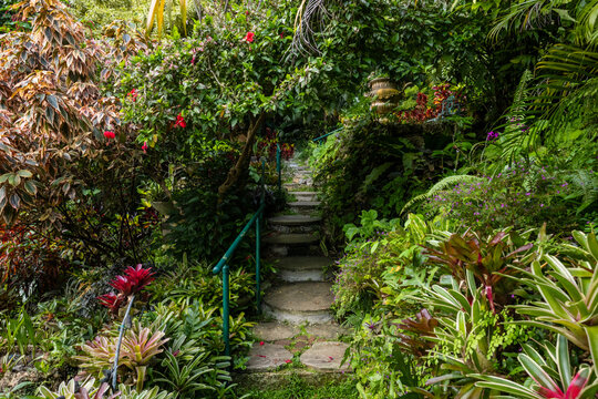 Nature Gardens in Barbados Caribbean

