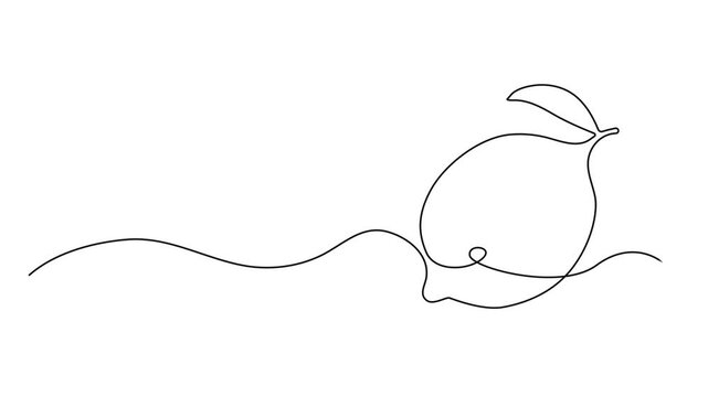 One line lemon animation. Continuous fruits and vegetables video. Natural, Self drawing simple animation of single continuous one line drawing of citrus fruit Lemon. Full length animation, Fresh lemon
