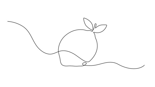 One line lemon animation. Continuous fruits and vegetables video. Natural, Self drawing simple animation of single continuous one line drawing of citrus fruit Lemon. Full length animation, Fresh lemon