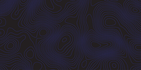 Abstract dark topographic pattern with flowing contour lines, organic curves, and subtle blue lighting. Modern, minimal, and atmospheric background ideal for technology, mapping, or design projects.