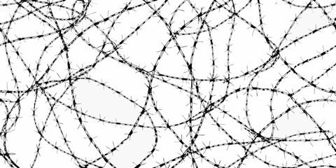 Tangled barbed wire against white background symbolizing security and restriction