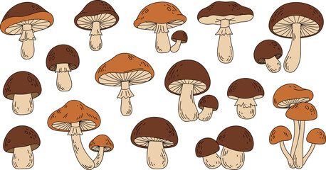 Cartoon mushrooms collection, stylized fungi caps and stems, forest nature icons, brown and orange tones, flat vector illustration