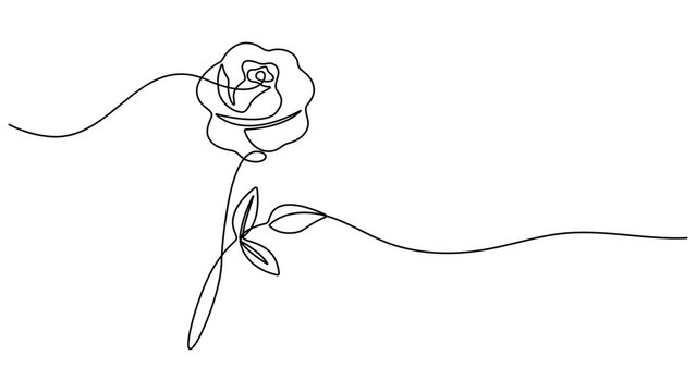 Continuous line drawing of rose flower. One line art concept of beautiful floral for love greeting. Rose flower minimalist black linear design isolated on white background. Vector illustration