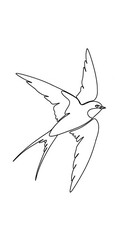 Obraz premium Simple continuous line drawing depicts a small avian creature in dynamic flight