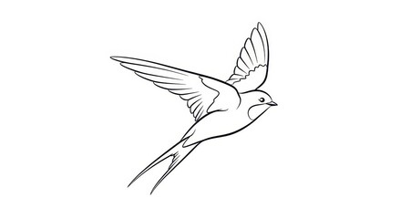 Obraz premium Stylized line drawing depicts a swallow bird soaring with wings fully extended