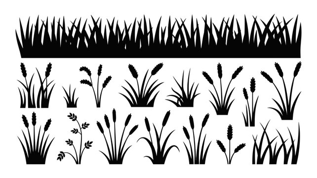 Various silhouetted grass, reed, and cattail elements. a collection of diverse natural plant shapes for design projects and borders.
