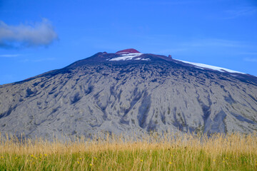 Fototapeta premium Snaefellsjokull volcano with ash and grass in foreground in Iceland Snæfellsnes Peninsula