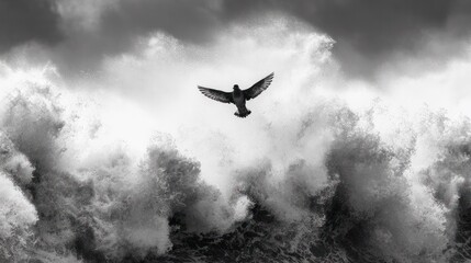 Fototapeta premium Titanic storm waves with a lone petrel swooping through turbulent skies.