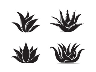 Elegant aloe plant silhouette set with beautiful shapes