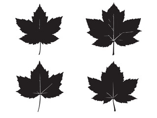 Gorgeous stunning leaf silhouette collection for fall art