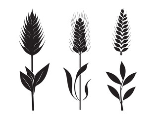 Gorgeous barley silhouette icon set with elegant forms