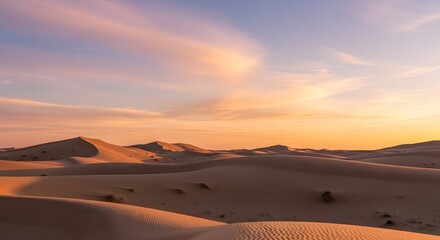 Golden Hour at Imperial Sand Dunes A Tranquil Desert Landscape