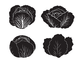 Elegant cabbage vegetable silhouettes created in clean minimal style