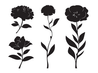 Beautiful flower silhouette icon set in elegant minimal vector design