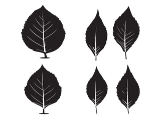Obraz premium Beautiful leaf silhouette icon set with elegant natural vector artwork