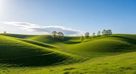 Obraz premium Green Hills Under a Bright Blue Sky A Serene Landscape