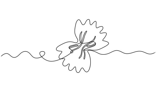 bow tie pasta animation continuous one line drawing, Vector isolated one farfalle macaroni colorless black and white contour line doodle drawing, bow tie farfalle pasta piece, Italian Farfalle pasta. 