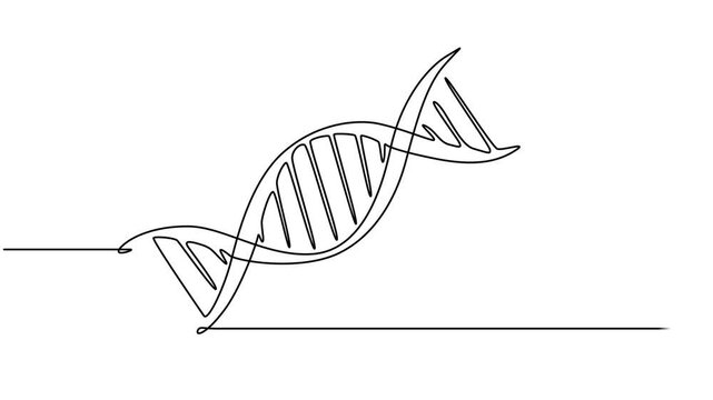 Self animated continuous one line drawing of DNA. Full length one line 4K animation,  scientific research concept, genome linear structure symbol, minimalist vector 4k animation video. helix or DNA.