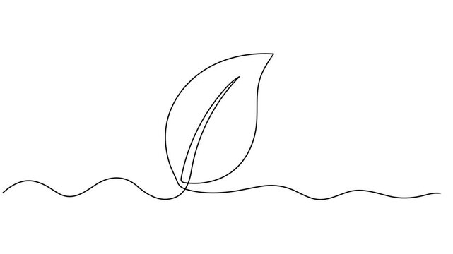 leaf animation continuous one line drawing, Leaves continuous line drawing animated video. Plant branch one line art. Leaf symbol continuous one line drawing vector minimalist outline art illustration
