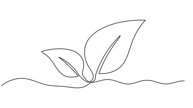 leaf animation continuous one line drawing, Leaves continuous line drawing animated video. Plant branch one line art. Leaf symbol continuous one line drawing vector minimalist outline art illustration
