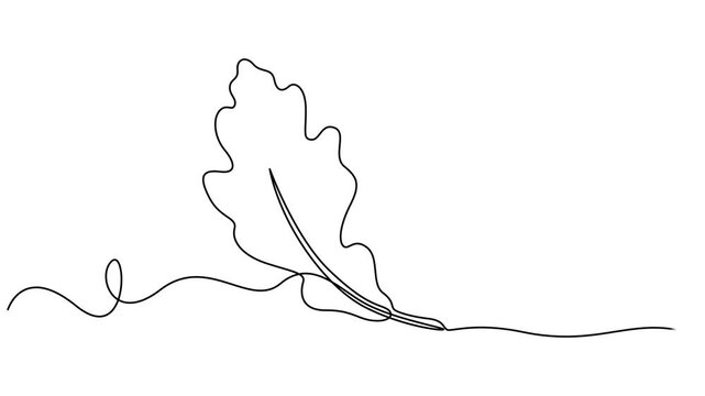 leaf animation continuous one line drawing, Leaves continuous line drawing animated video. Plant branch one line art. Leaf symbol continuous one line drawing vector minimalist outline art illustration