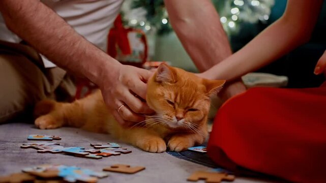 family cat cuddle, gentle family bonding with feline on festive floor, loving family interaction featuring ginger feline amid holiday decorations and playful moments