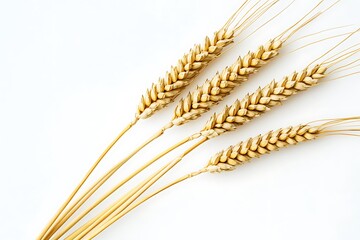 Golden wheat stalks elegantly arranged on a clean white surface