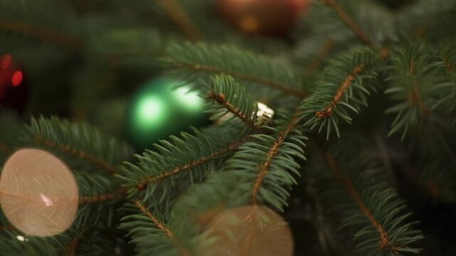 Green Pine Branches Christmas Holiday Background
