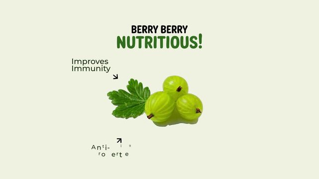 Green gooseberries health benefits infographic vector illustration animation