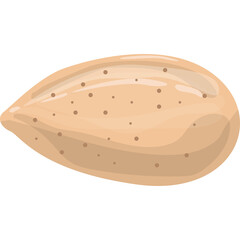 Single Almond Nut Isolated on Transparent Background Realistic Vector Illustration