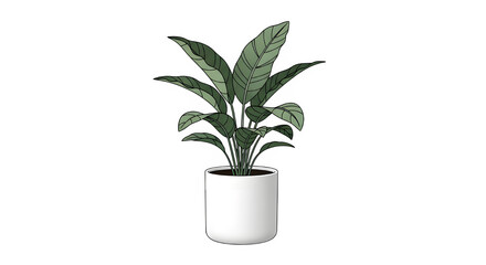 A detailed illustration of a healthy houseplant with large, dark green, patterned leaves growing in a simple, modern white cylindrical pot, isolated on transparent background