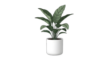 A detailed illustration of a healthy houseplant with large, dark green, patterned leaves growing in a simple, modern white cylindrical pot, isolated on transparent background