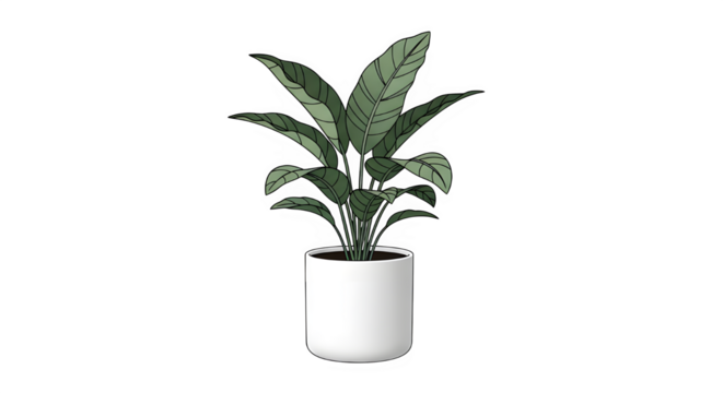 A detailed illustration of a healthy houseplant with large, dark green, patterned leaves growing in a simple, modern white cylindrical pot, isolated on transparent background
