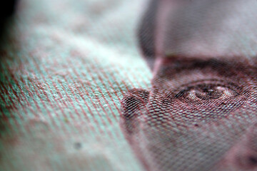 Close-up of Currency Print Showing Intricate Design and Eye Detail