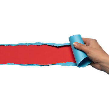 Hand peeling back blue paper layer to reveal vibrant red color underneath, isolated on transparent background
