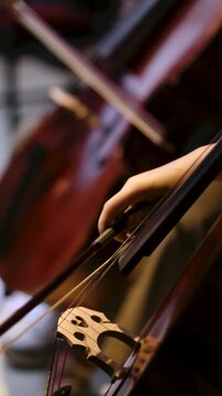 Close up of Musician Playing Cello with Bow in rehearsal studio
