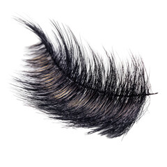 Obraz premium Dark feather with light streaks, rendered with fine detail