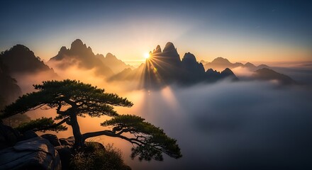 Majestic sunrise over misty mountains with a pine tree silhouette.