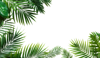 Evergreen boughs frame a dark, empty space