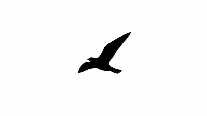A flying bird