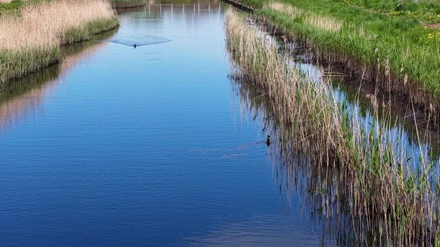 Drone footage of a peaceful creek with clear water winding through grassy banks and reflecting the blue sky.